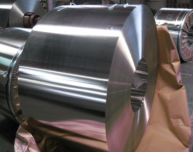 Tin Free Steel Coil/Sheet