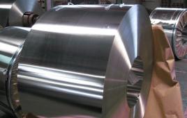 Tin Free Steel Coil/Sheet